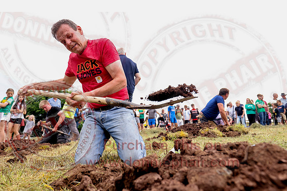 Lady of the Lake Festival World Hole Digging Competition-14