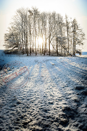 Colebrooke Estate in Winter