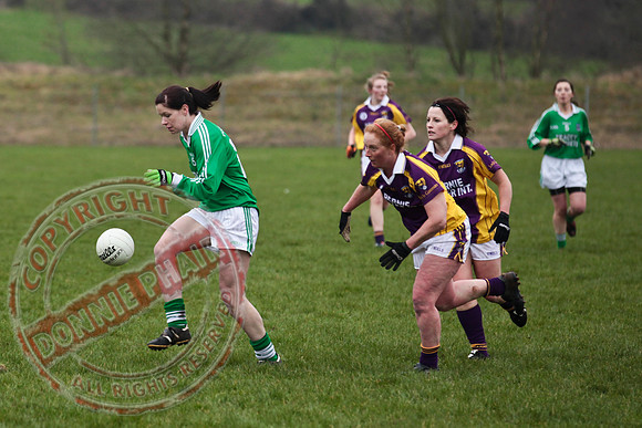 Fermanagh Senior Ladies GAA V Wexford in Teemore