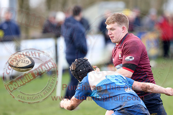 Enniskillen !st XV (36) V Portadown 1st XV (12) in Bank of Ireland Towns Cup-2