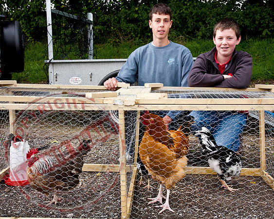 Fermanagh County Fair in Enniskillen.
