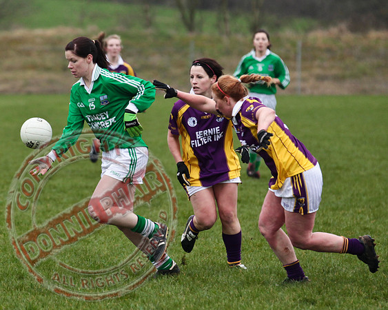 Fermanagh Senior Ladies GAA V Wexford in Teemore