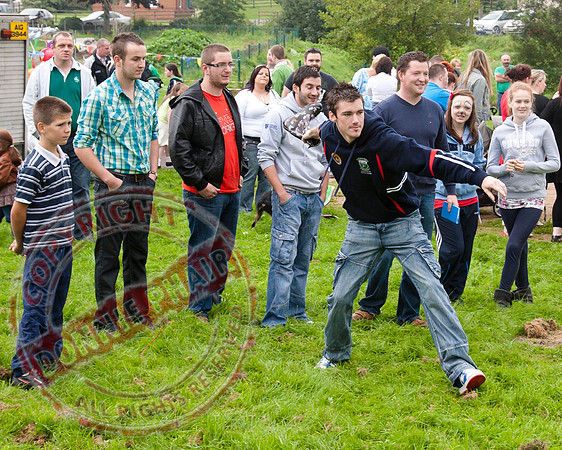 Newtownbutler Festival/Fun Day 2010