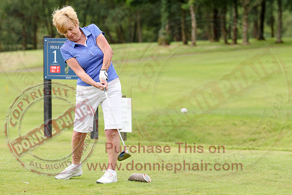 Lady Cpatains Day at Enniskillen Golf Club-8