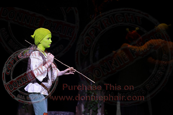 Shrek by FMT - Donnie Phair-23