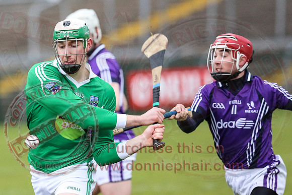 Fermanagh (1-16) V Fingal (3-13) in National Hurling League Division 3A