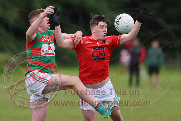 Lisnaskea (5-05) V Newtownbutler (1-11) in Divison Two Club Players Competition Playoff-4