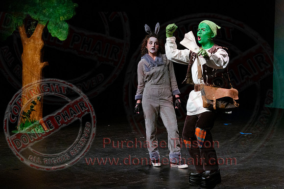 Shrek by FMT - Donnie Phair-99