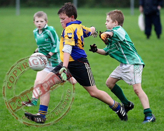 Roslea V Enniskillen Gaels in U12 GAA Football B Final.