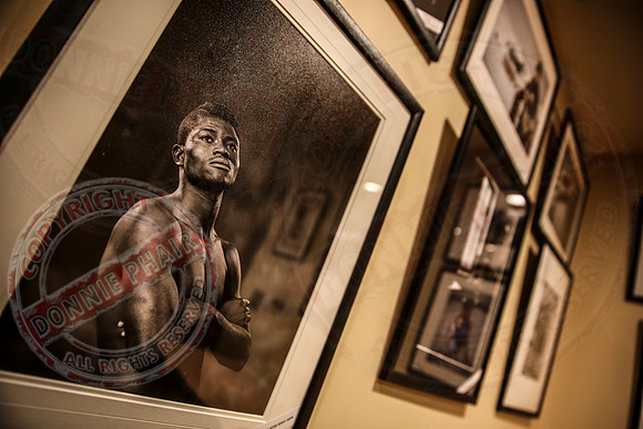 NIPA Print Exhibition in Belmore Court