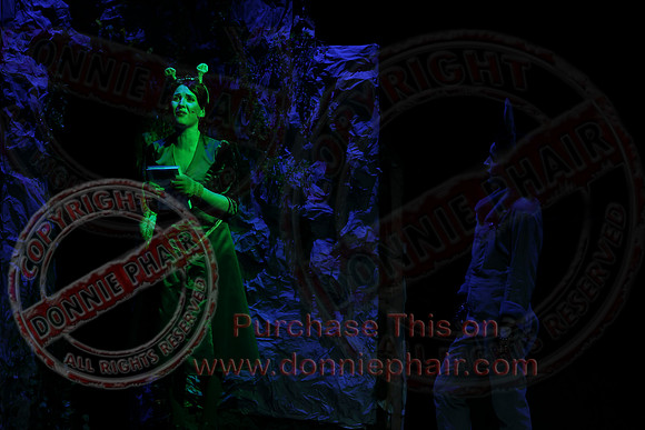 Shrek by FMT - Donnie Phair-500