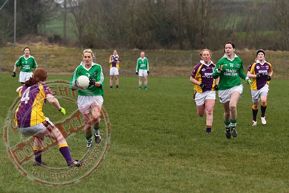Fermanagh Senior Ladies GAA V Wexford in Teemore