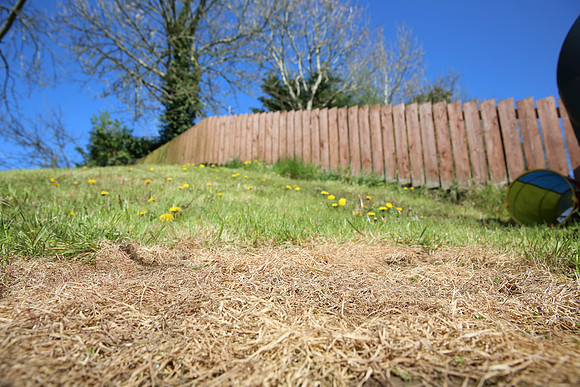 Water-logged garden. Image taken on 17-04-14.