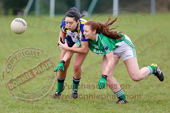Fermanagh (3-22) V Longford (3-1) in Ladies GAA National Football League Division 3