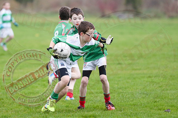 Dundas Shield GAA Tournament for U12 in Lisnaskea.
