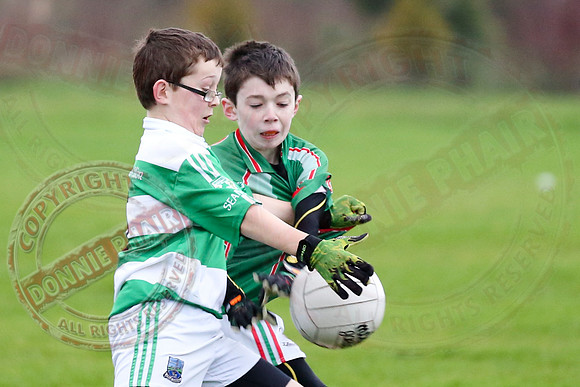 Dundas Shield GAA Tournament for U12 in Lisnaskea.