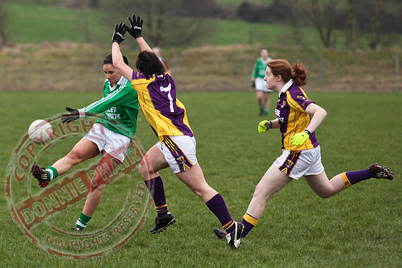 Fermanagh Senior Ladies GAA V Wexford in Teemore