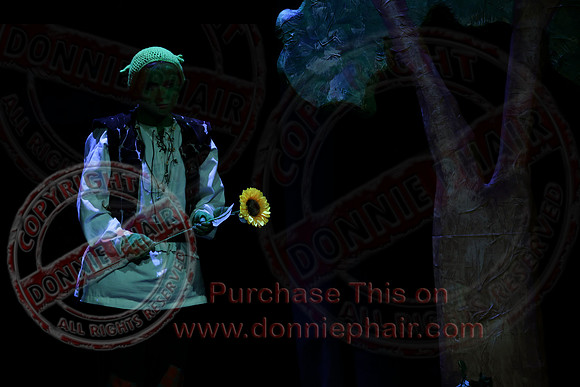 Shrek by FMT - Donnie Phair-501
