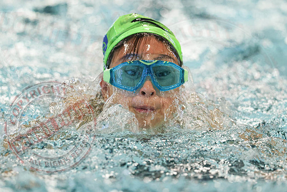Enniskillen Lakelanders Junior Swimming Gala