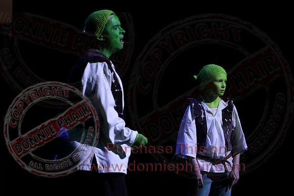 Shrek by FMT - Donnie Phair-320