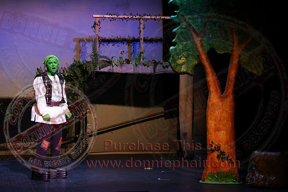Shrek by FMT - Donnie Phair-531