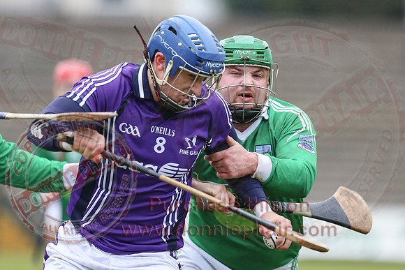Fermanagh (1-16) V Fingal (3-13) in National Hurling League Division 3A