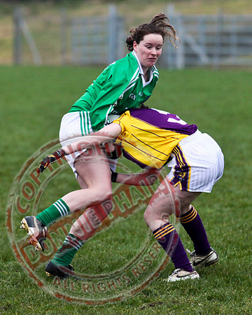 Fermanagh Senior Ladies GAA V Wexford in Teemore