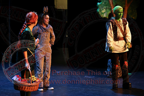 Shrek by FMT - Donnie Phair-361