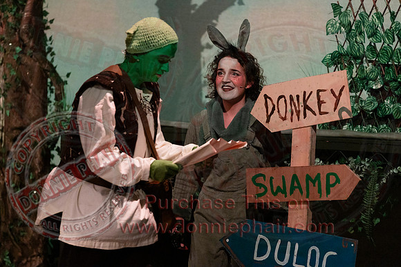 Shrek by FMT - Donnie Phair-87