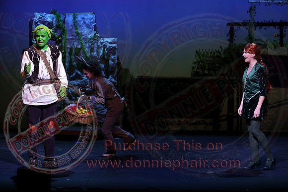 Shrek by FMT - Donnie Phair-392