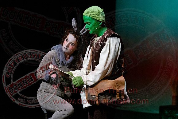 Shrek by FMT - Donnie Phair-97
