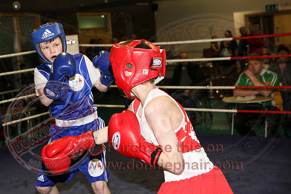 Erne Boxing Club Open Boxing Tournament