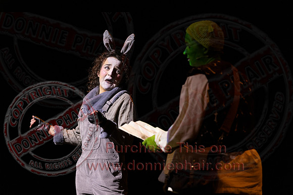 Shrek by FMT - Donnie Phair-106