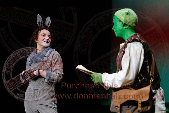 Shrek by FMT - Donnie Phair-96