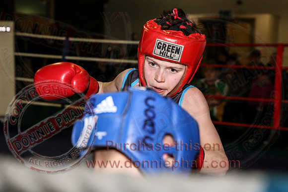 Erne Boxing Club Open Boxing Tournament