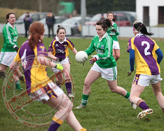 Fermanagh Senior Ladies GAA V Wexford in Teemore