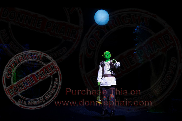 Shrek by FMT - Donnie Phair-510