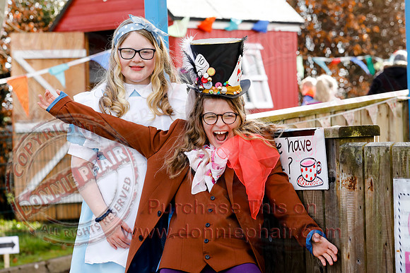 Alice in Wonderland Charity trail by Jones Memorial Primary School-14