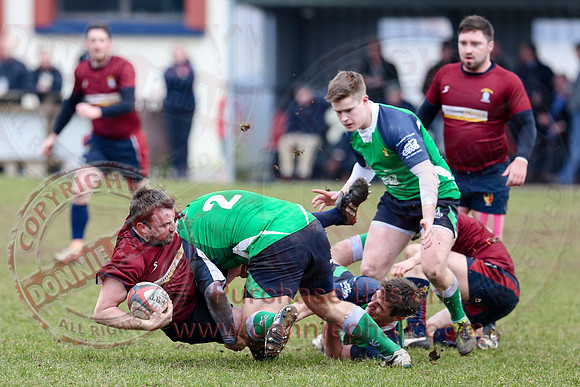 Enniskillen 1st XV (3) V Ballynahinch (44) in Rugby Towns Cup.