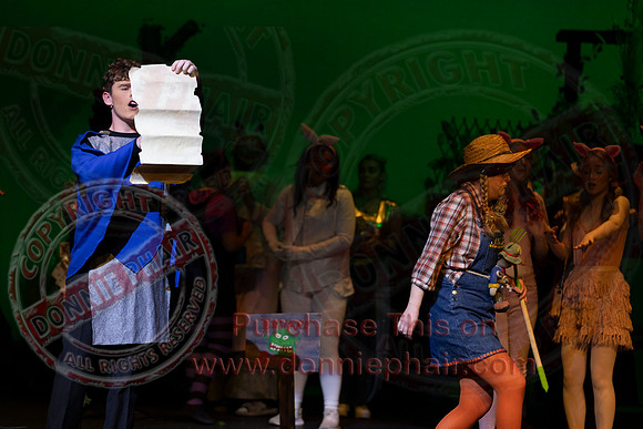 Shrek by FMT - Donnie Phair-40