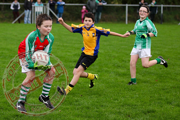 Roslea V Enniskillen Gaels in U12 GAA Football B Final.