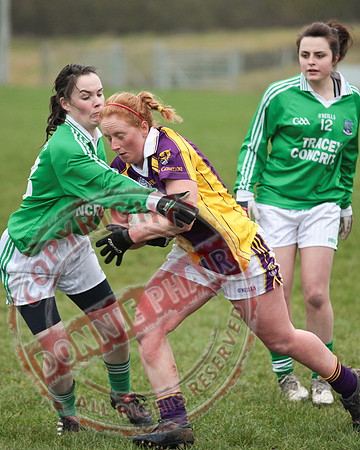 Fermanagh Senior Ladies GAA V Wexford in Teemore