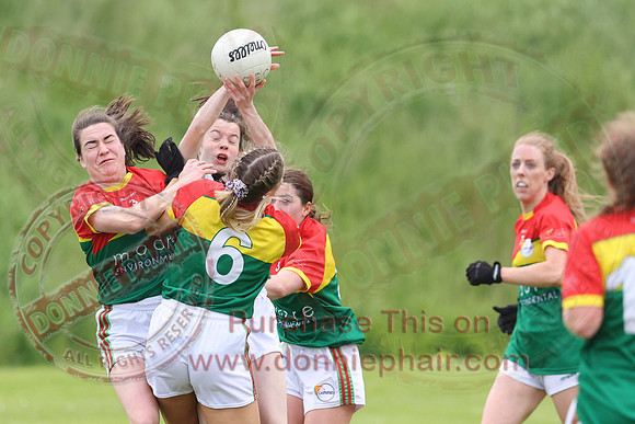 Carlow (1-09) V Fermanagh (1-05) in Ladies All Ireland Junior Championship-49