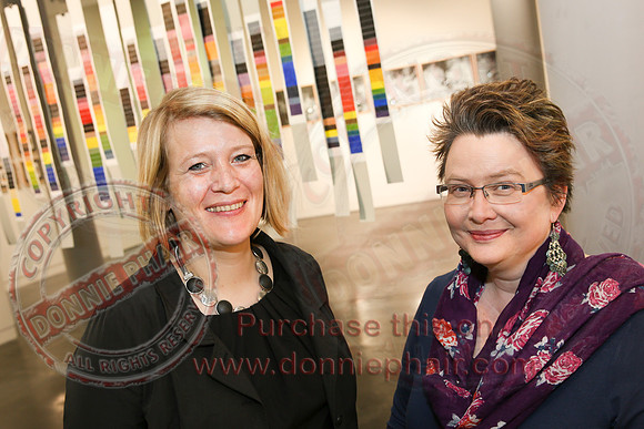 Artist, Tinka Beckert, launches exhibition in Upper Bridges Gallery, Enniskillen.