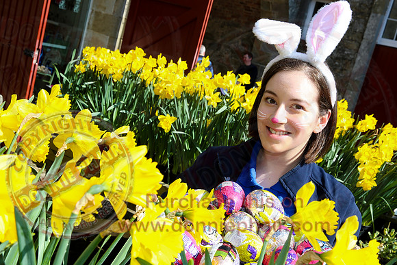 Easter Egg Hunt at Florencecourt House and Gardens.