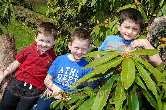 Easter Egg Hunt at Florencecourt House and Gardens.
