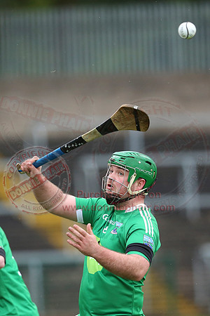 Fermanagh (3-12) V Warwickshire (2-07) in Lory Meagher Hurling Cup.