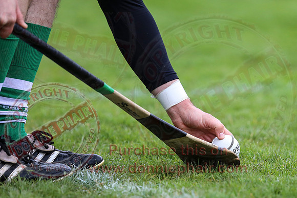 Fermanagh (3-12) V Warwickshire (2-07) in Lory Meagher Hurling Cup.
