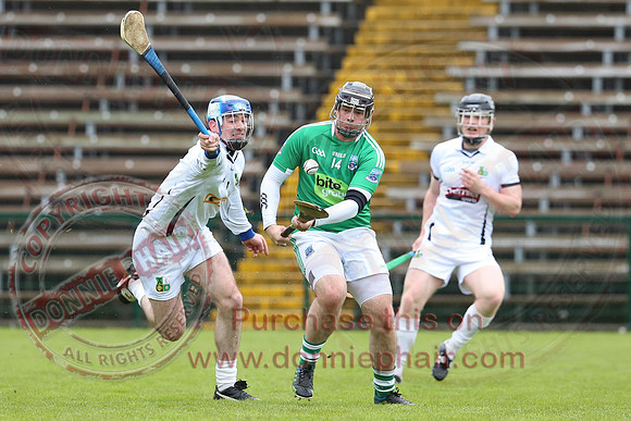 Fermanagh (3-12) V Warwickshire (2-07) in Lory Meagher Hurling Cup.