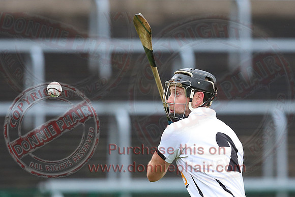 Fermanagh (3-12) V Warwickshire (2-07) in Lory Meagher Hurling Cup.